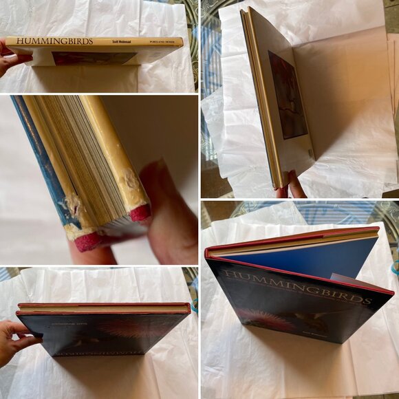 Hummingbirds Photographs Book by Scott Weidensaul - Picture 10 of 12